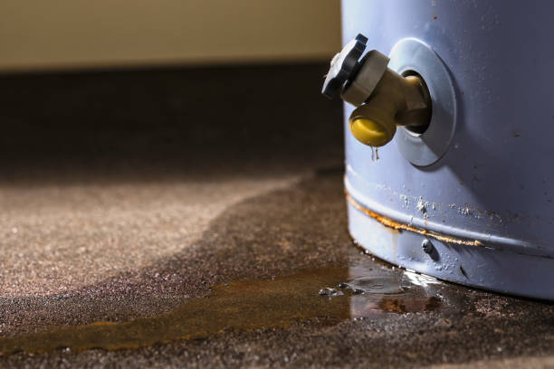 Best Sewage cleanup and water damage restoration  in Sultan, WA