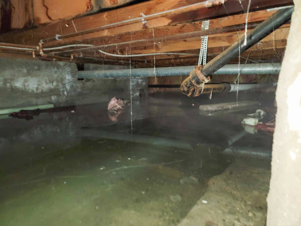 Best Ceiling water damage repair  in Sultan, WA