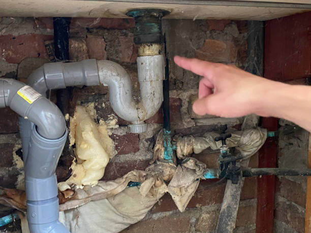 Best Local water damage restoration  in Sultan, WA